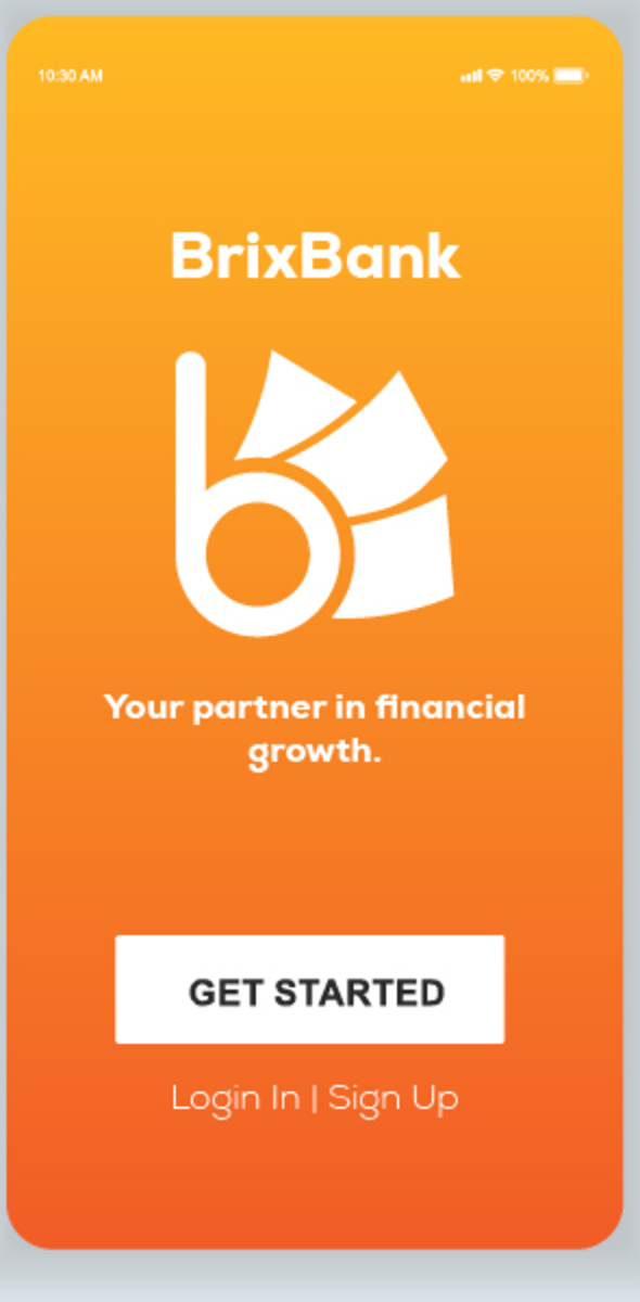 BrixBank splash screen